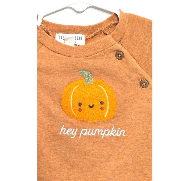Rabbit +Bear pumpkin sweatshirt. Size 6-9 months. - Picture 2 of 8